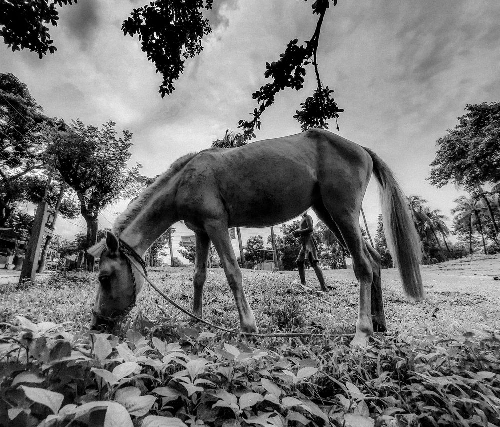 Photograph by Zunaid Hasan