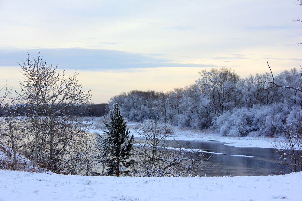 Photograph by Татьяна Поспелова