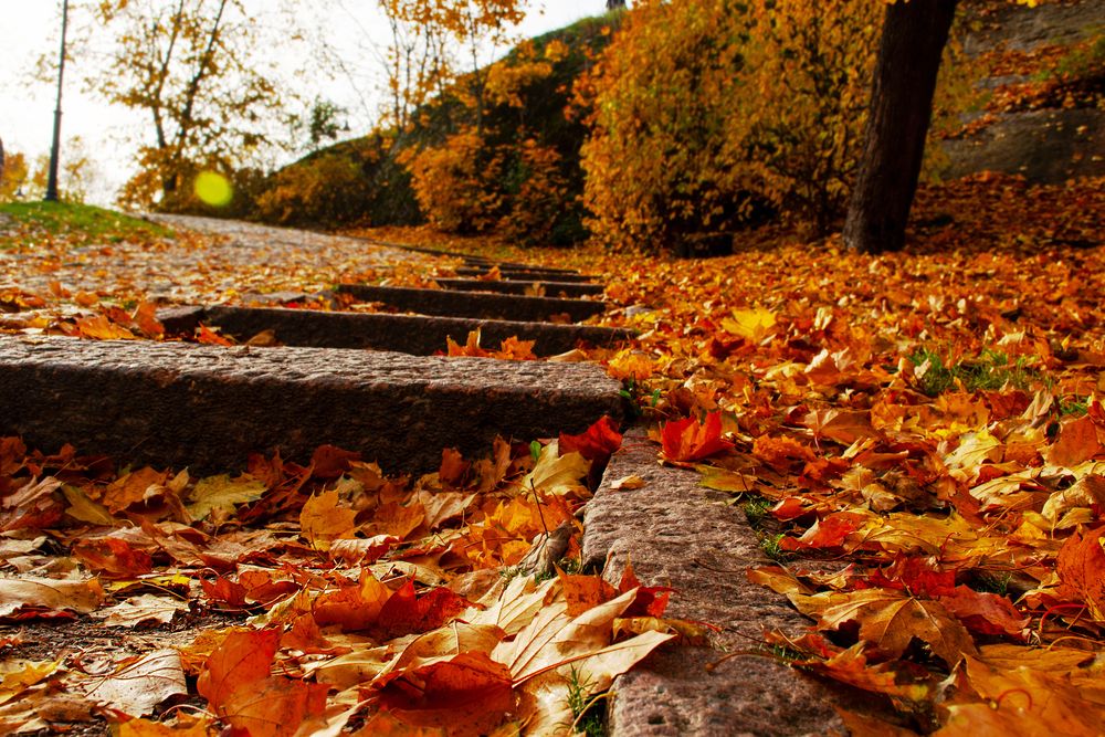 Photograph by Марина Шоркина