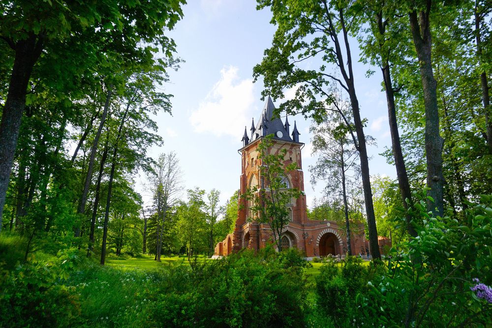 Фотография автора Елена Викторовна