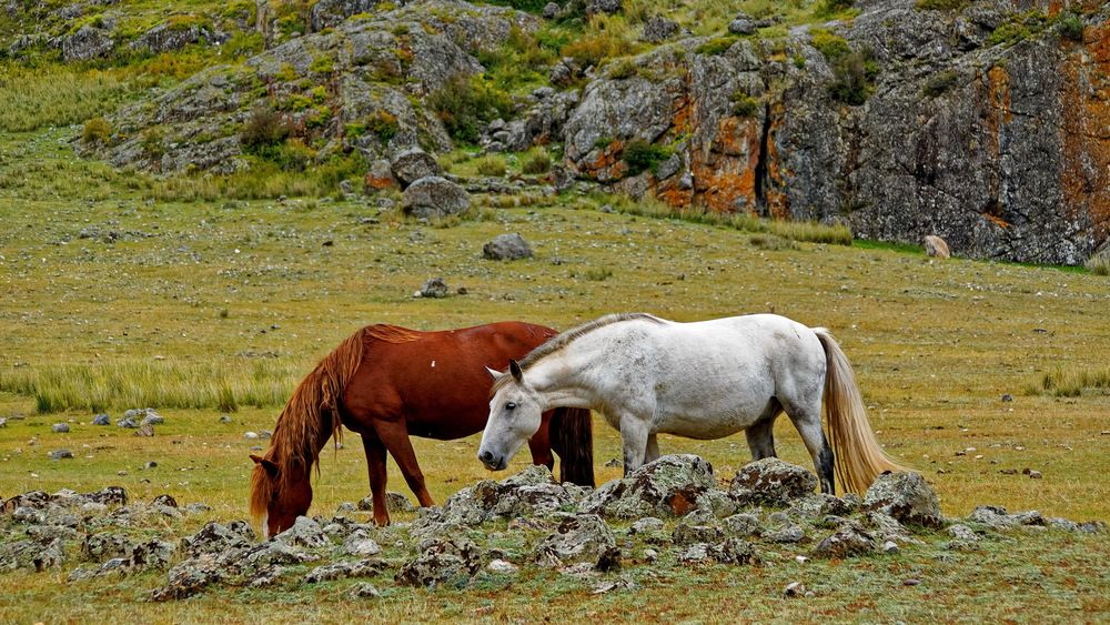 Фотография автора Андрей Панин