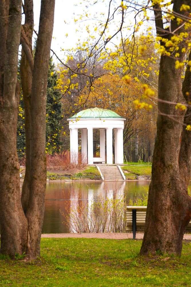 Фотография автора Елена Викторовна