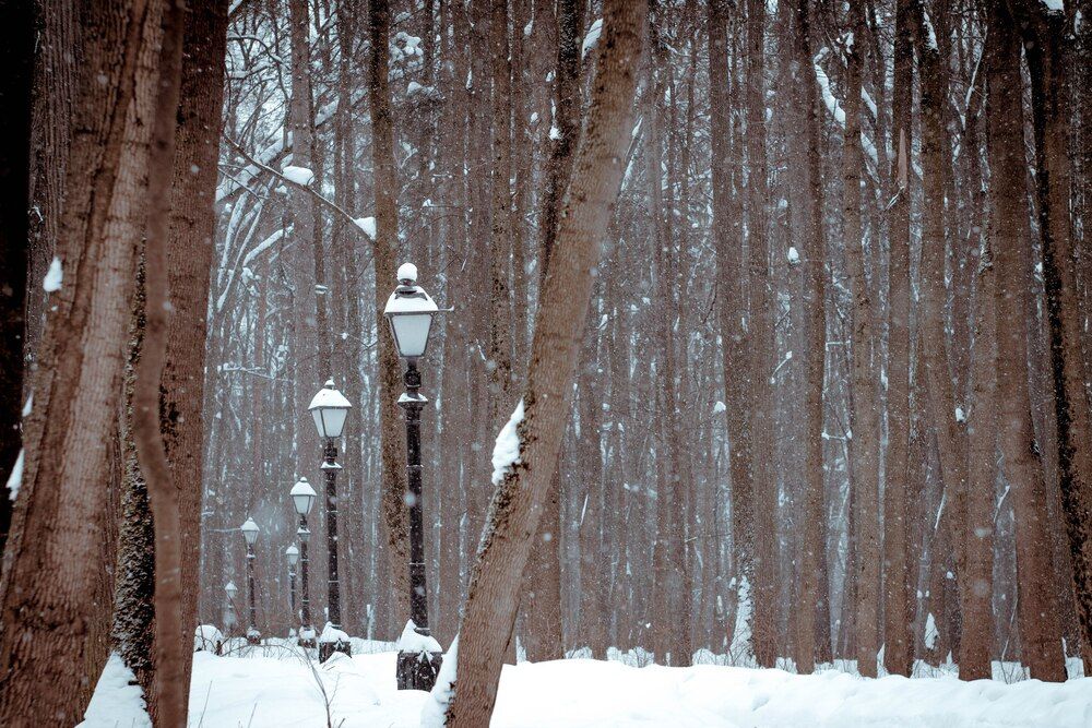 Photograph by Грек