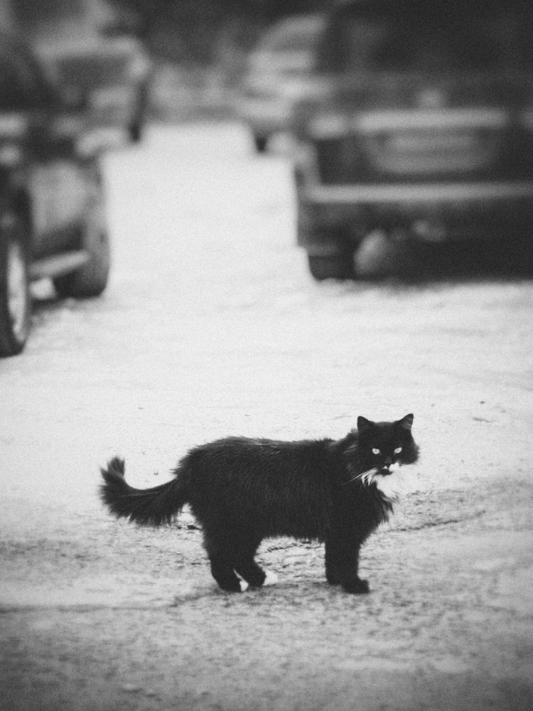 Photograph by Татьяна Минилбаева