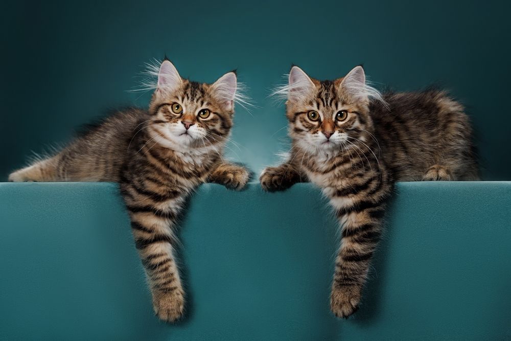 Photograph by Ирина Левакова