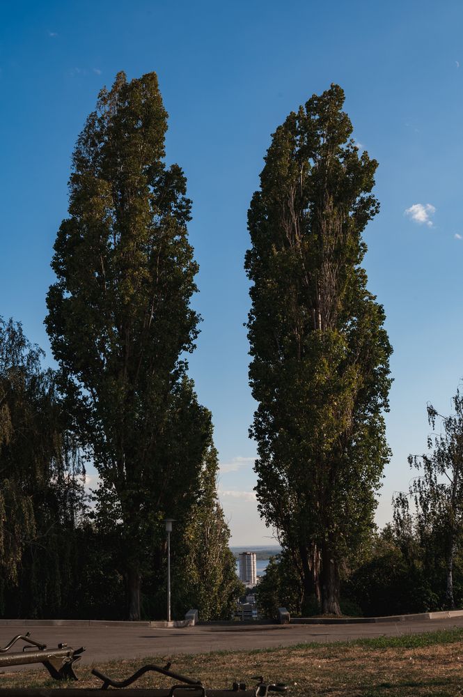 Photograph by Елена Владимировна