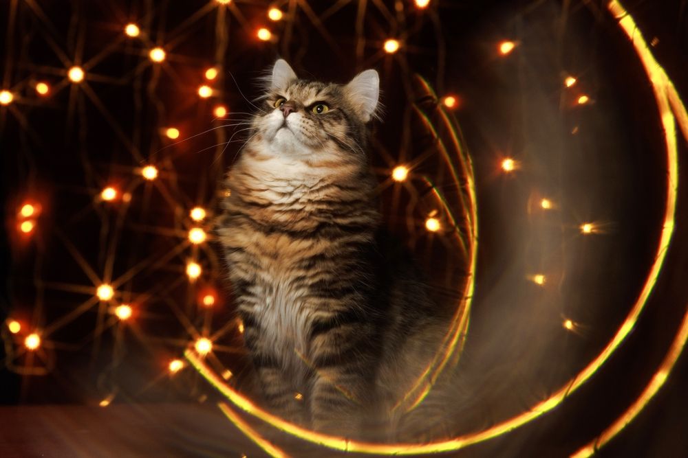 Photograph by Ирина Левакова