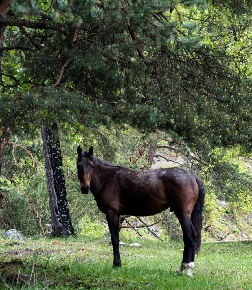 Photograph by Даниил Пузаков