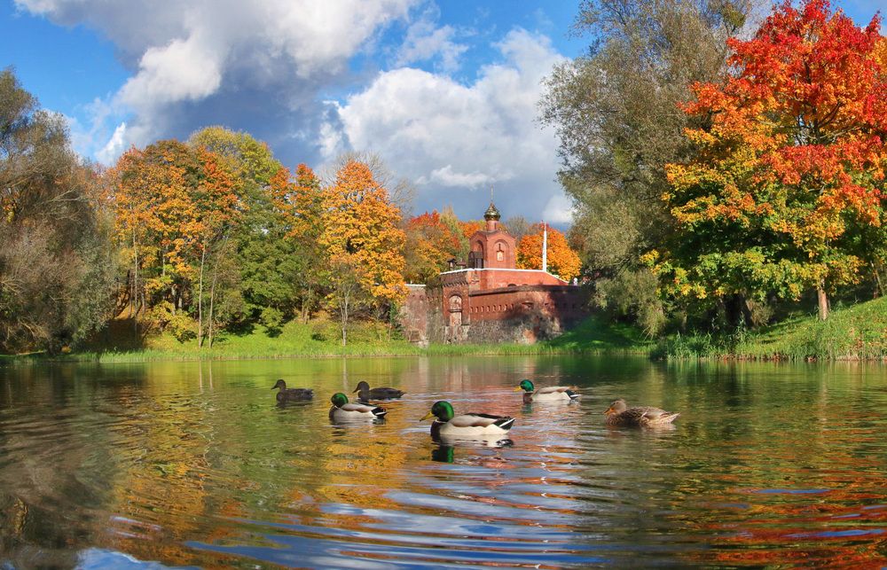 Фотография автора Владимир Петрукович