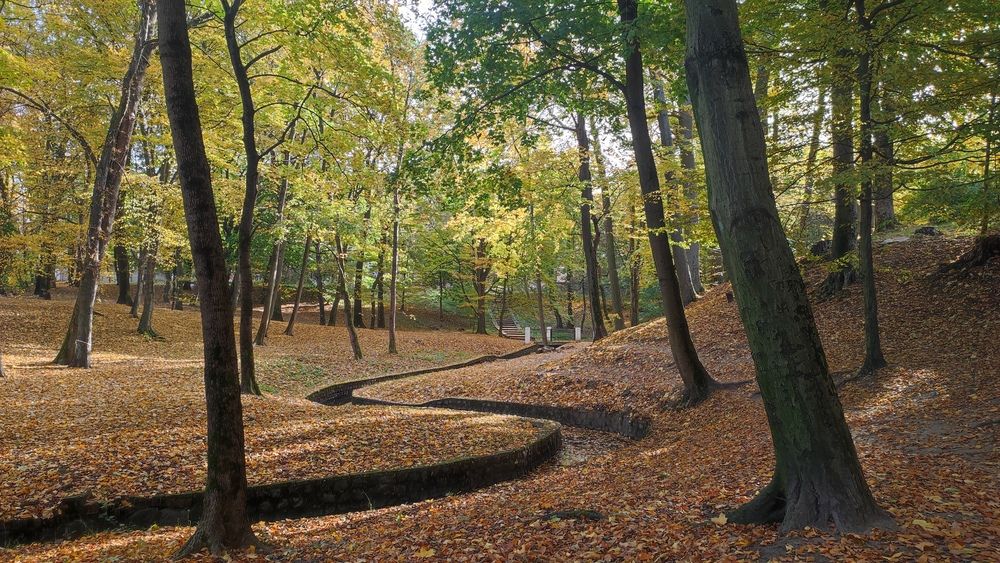 Photograph by Марийона Савоненко