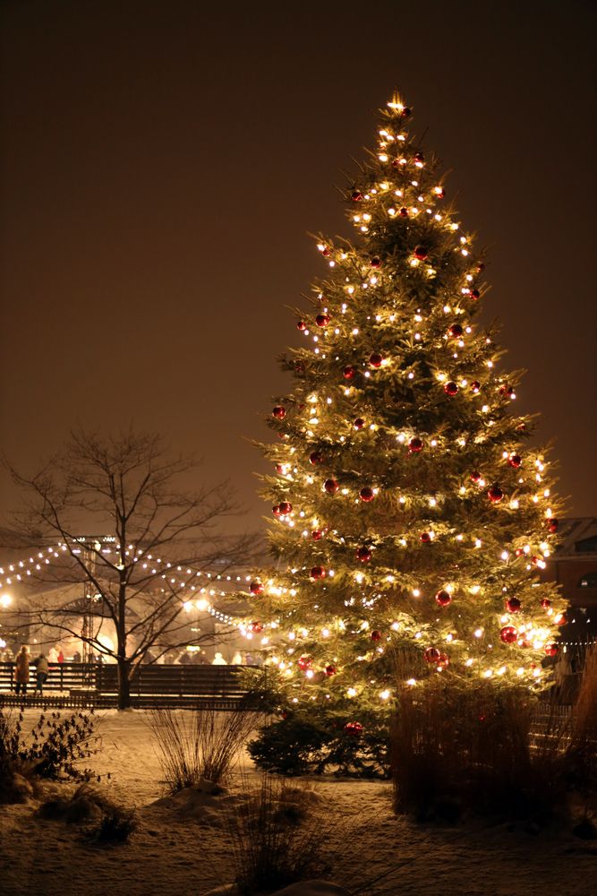 Фотография автора Ирина Муравьева