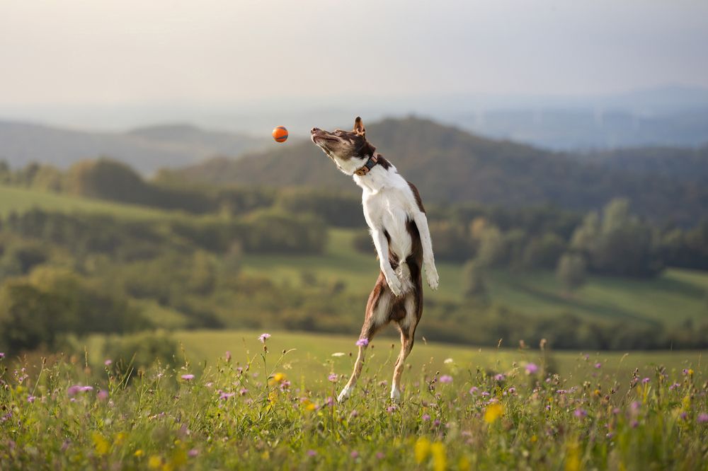 Photograph by Joanna Blecharz