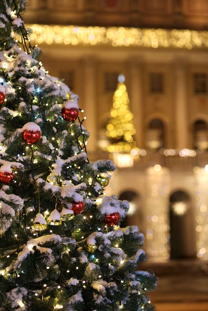 Фотография автора Ирина Муравьева