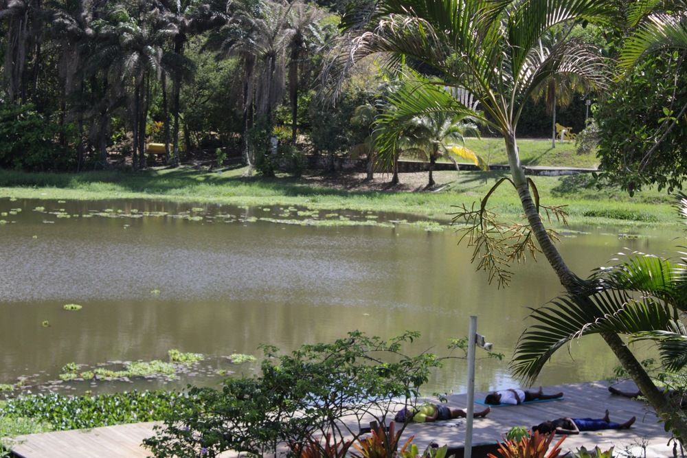 Фотография автора Alexandre Pimentel