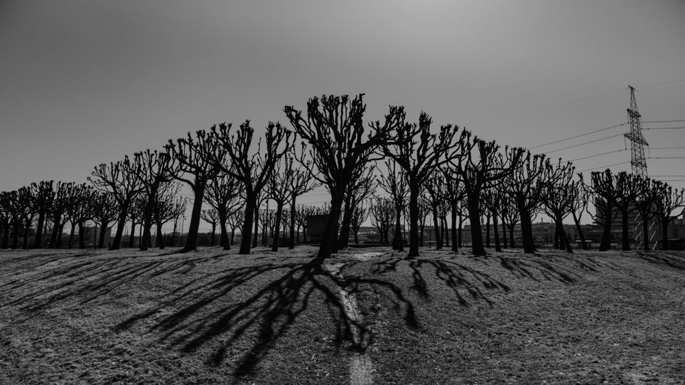 Фотография автора Алексей