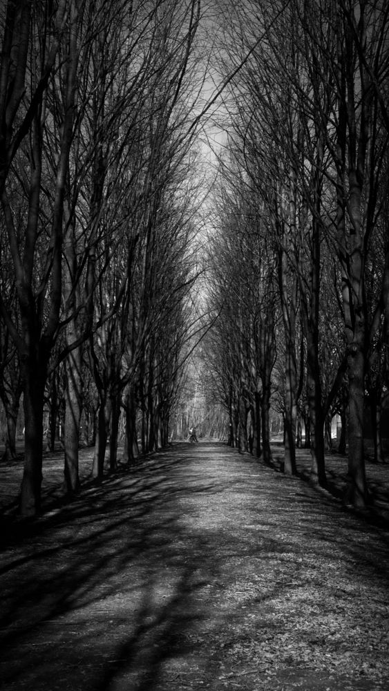 Фотография автора Алексей