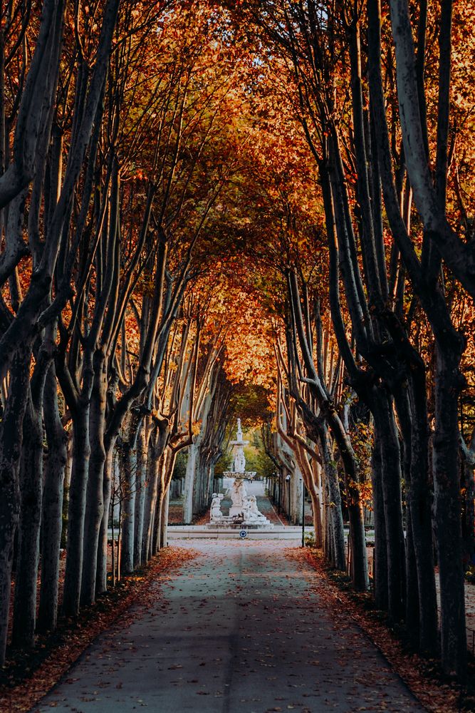 Photograph by Alonzo Contreras