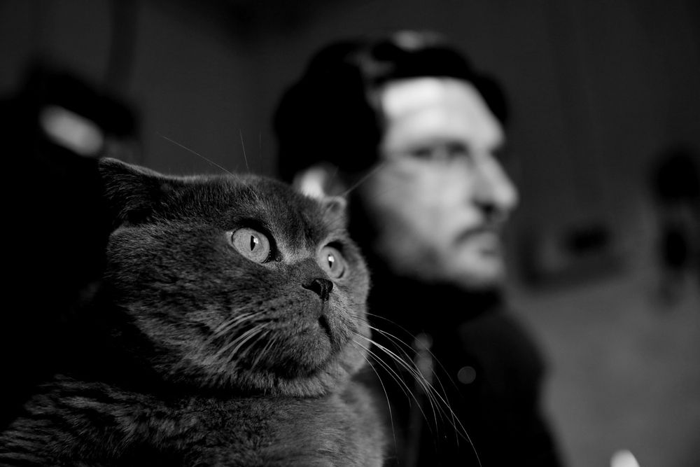 Photograph by Сергей Зорин