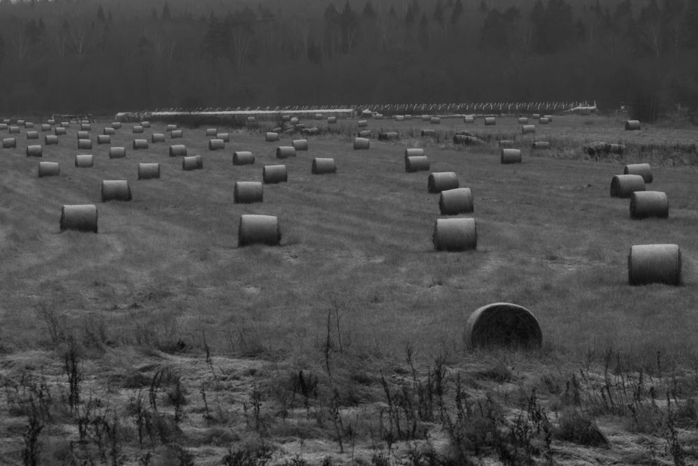 Photograph by Сергей Зорин