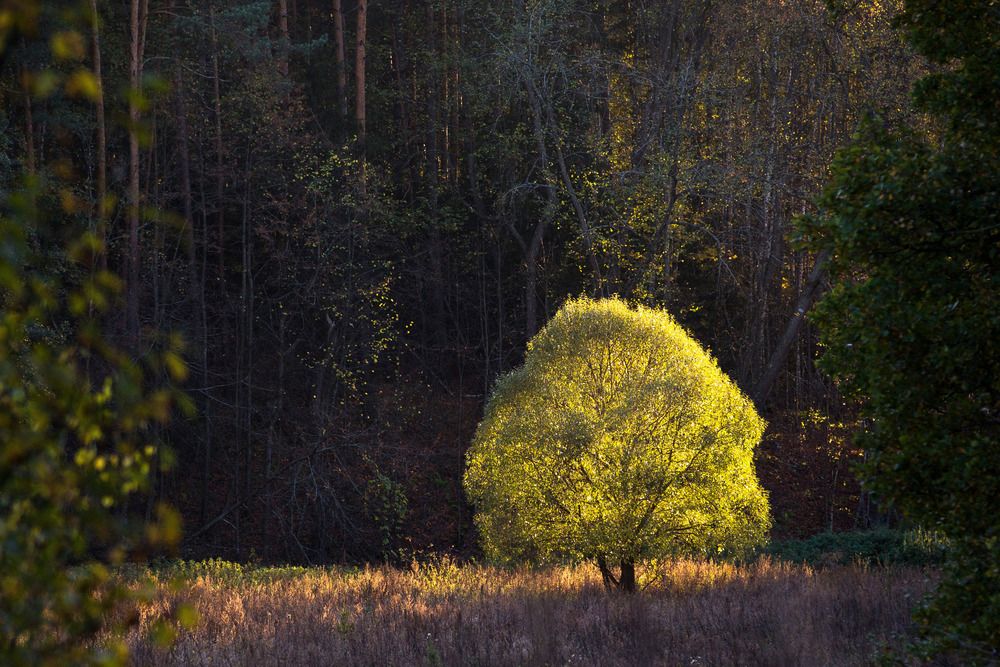 Photograph by Сергей Зорин