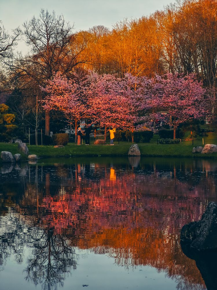 Photograph by Ljubov Trombovetskaja