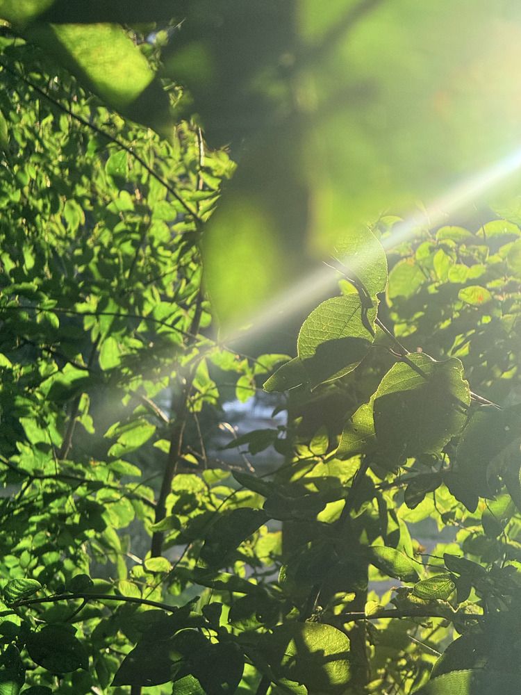 Photograph by Мария Устьянцева