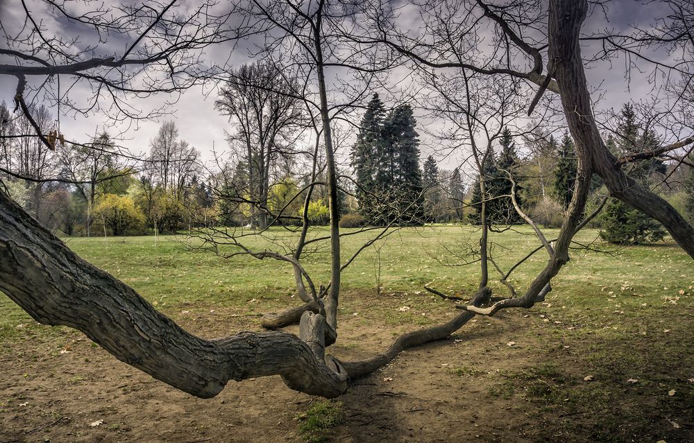 Фотография автора Milena Ivanova