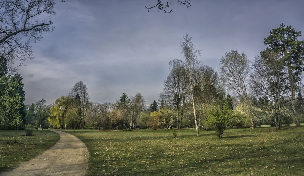 Фотография автора Milena Ivanova