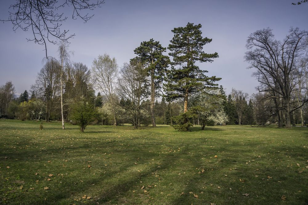 Фотография автора Milena Ivanova