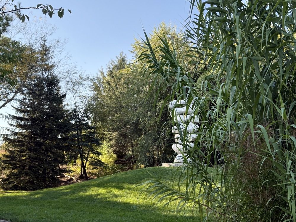 Фотография автора Ираида Гайфуллина