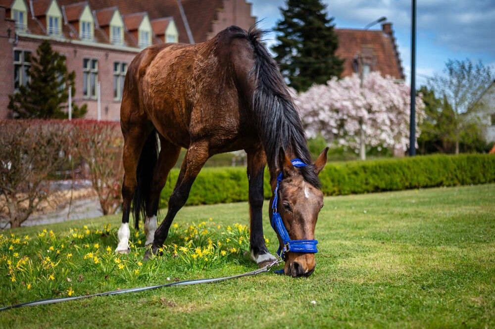 Photograph by Oksana Yermoshenko