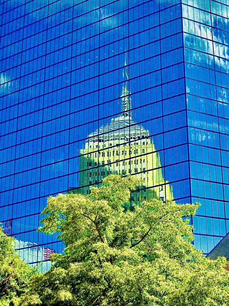 Photograph by Dario Meroni