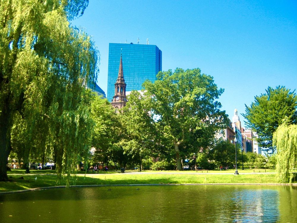 Photograph by Dario Meroni