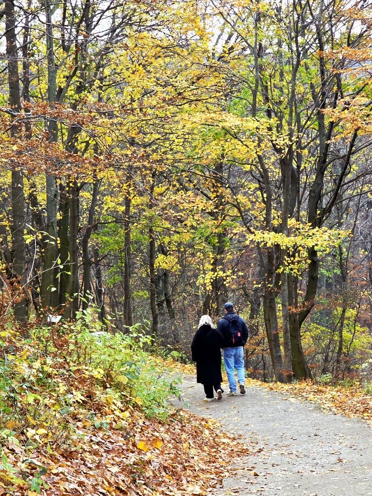 Photograph by Natalia