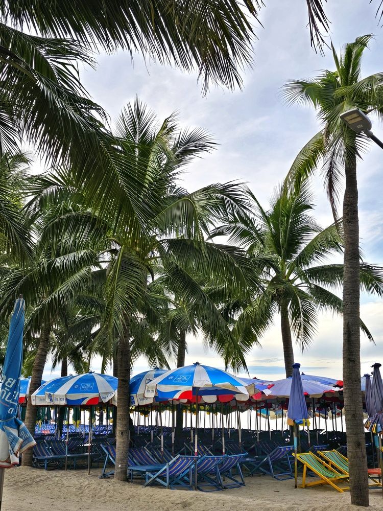 Photograph by Moon Moon Hossain