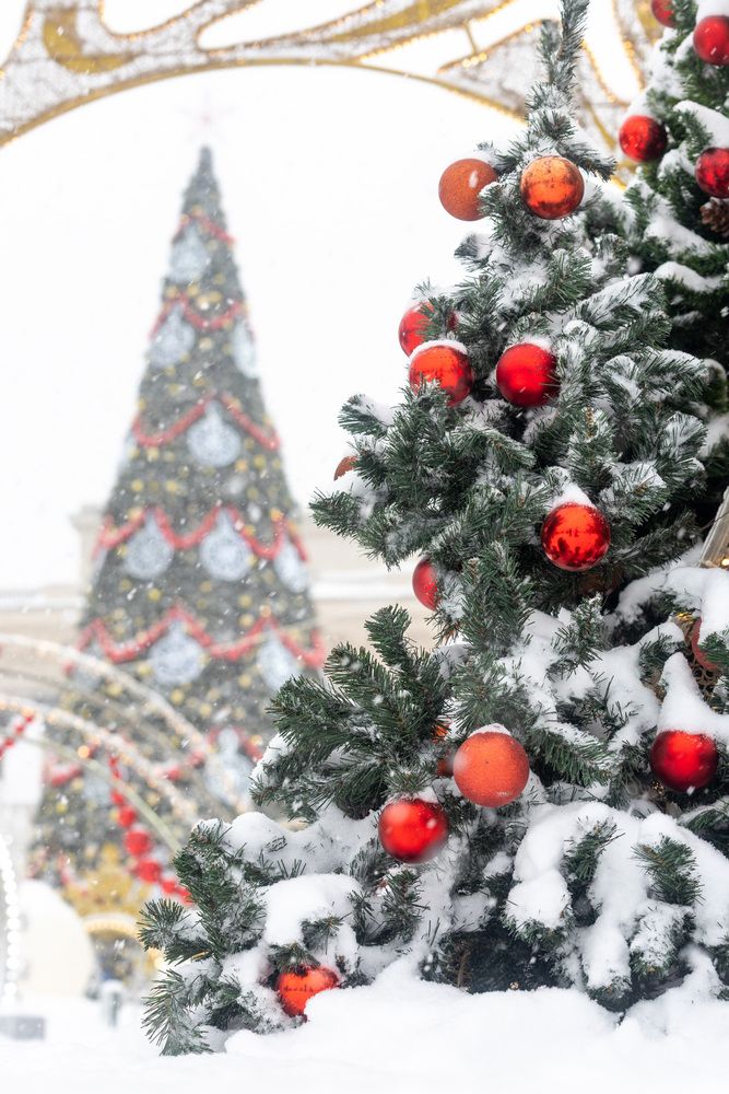 Photograph by Людмила Аксенова