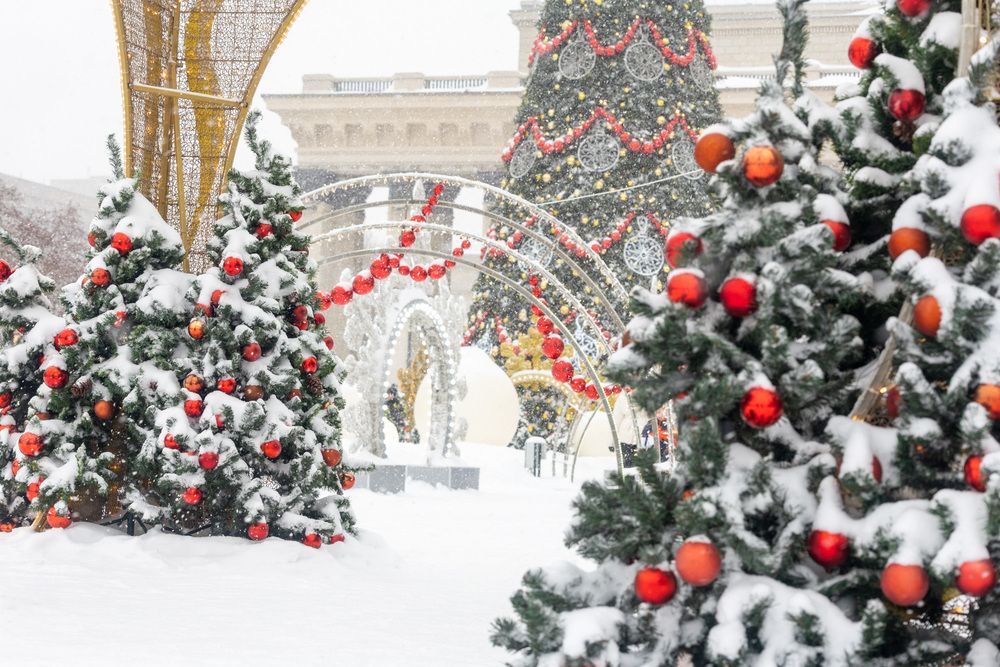 Photograph by Людмила Аксенова