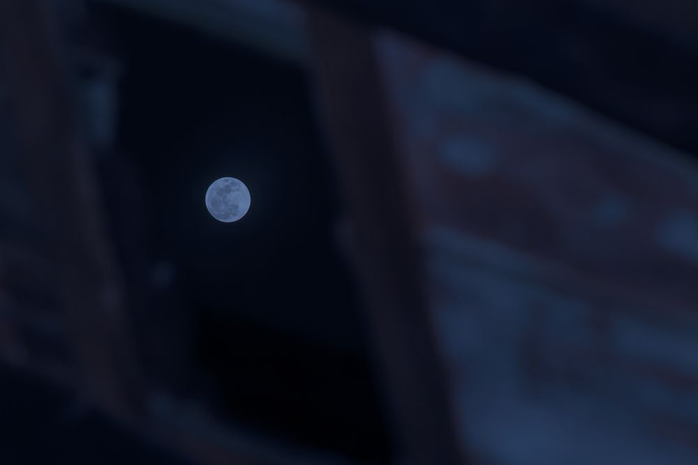 Photograph by Shreeharan Rajasingham