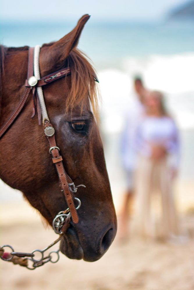 Photograph by Leonardo Rojas