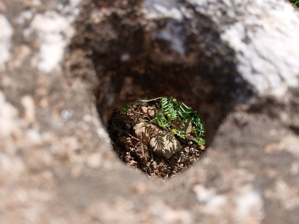 Photograph by Bojan Nikolovski