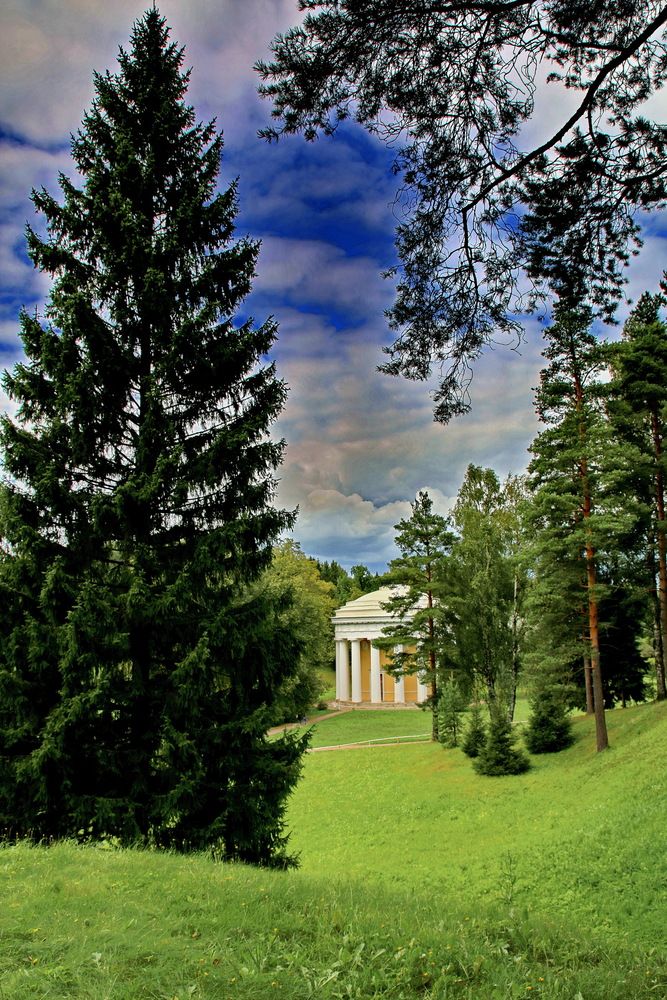 Фотография автора АЛЕКСАНДР ЦЫГЕЛЬНЮК