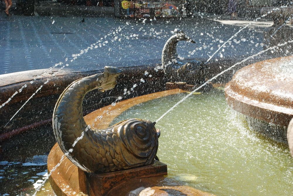 Photograph by Nadaškić Jasminka