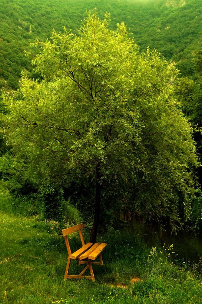 Photograph by Nadaškić Jasminka