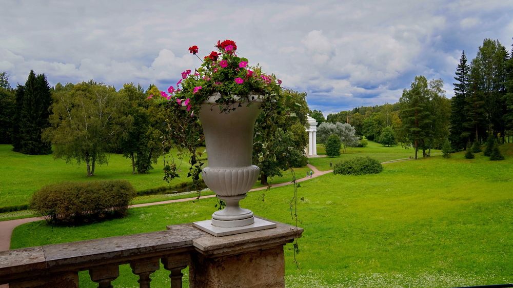 Фотография автора АЛЕКСАНДР ЦЫГЕЛЬНЮК