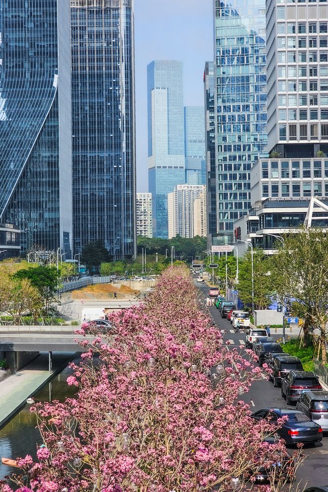 Photograph by Сергей Кесаев