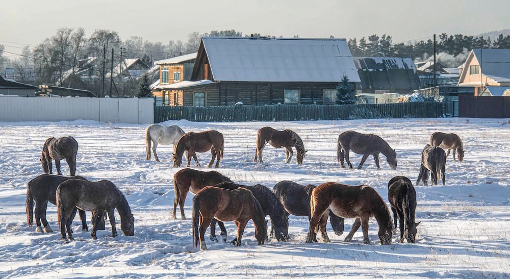 Photograph by Юрий Борик