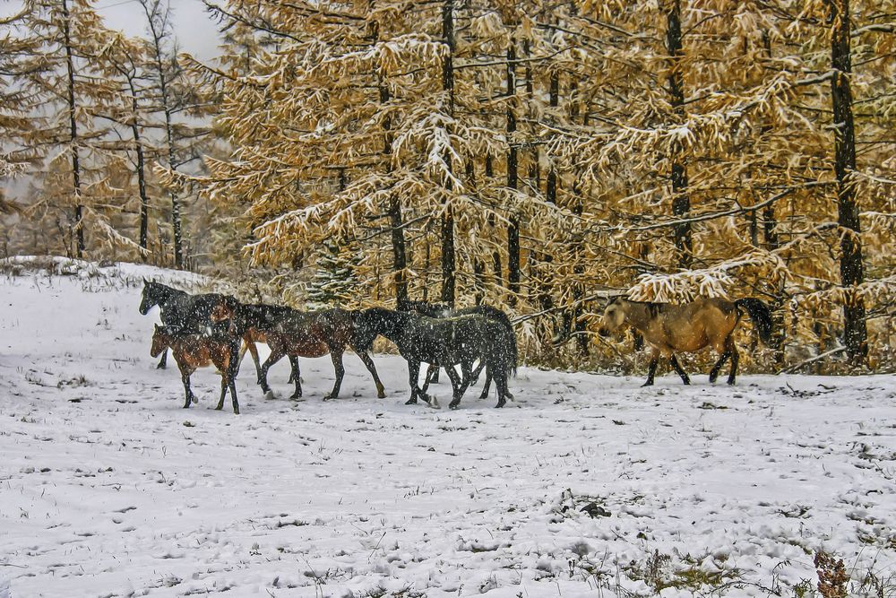 Photograph by Юрий Борик