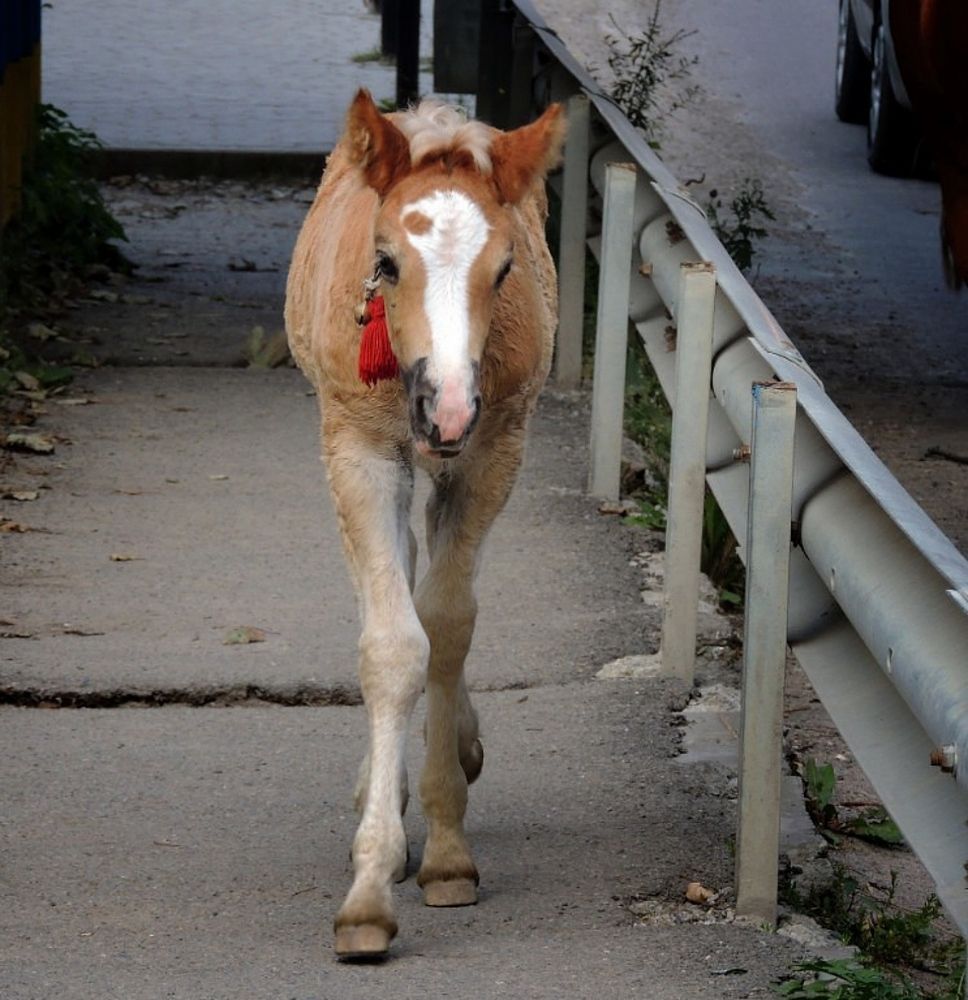 Photograph by Савоцкий Роман