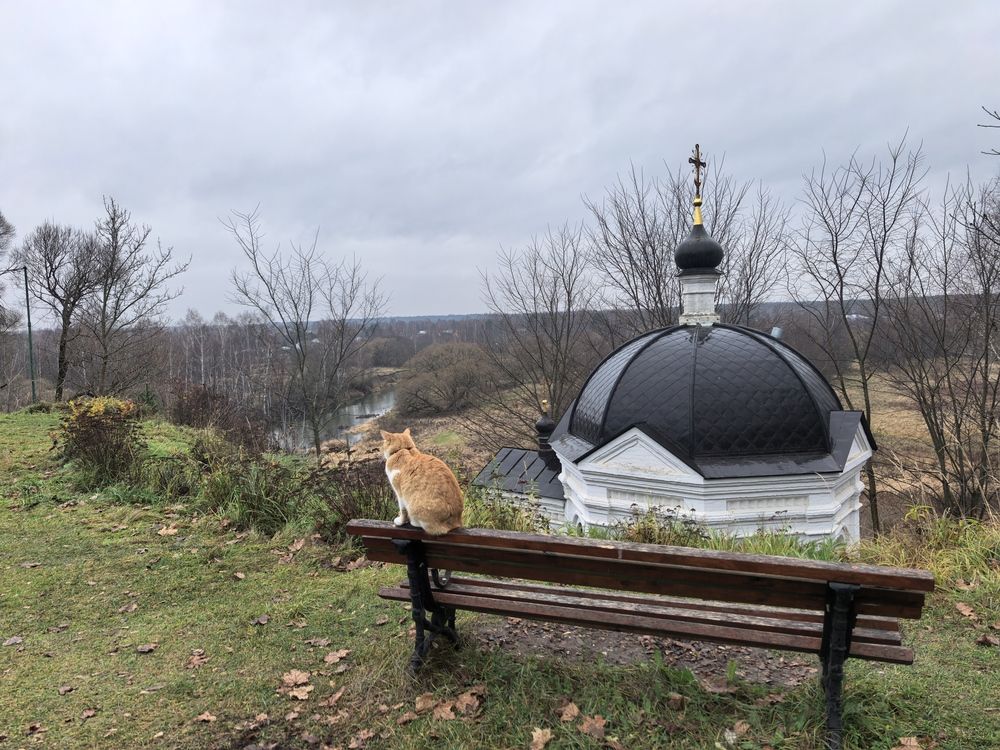 Photograph by Елена Охапкина