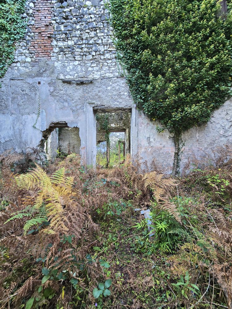 Photograph by Варвара Моргунова